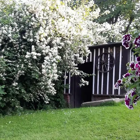 Tatil Evi Monika Paseky nad Jizerou